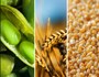 Agriculture