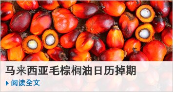 马来西亚毛棕榈油日历掉期