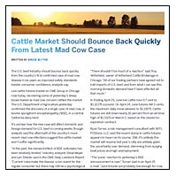 Cattle Market Should Bounce Back Quickly from Latest Mad Cow Case