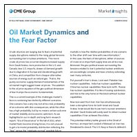 Oil Market Dynamics and Fear Factor