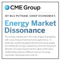 Blu Putnam PDF