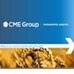 Fundamental Analysis
