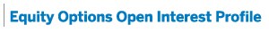 Equity Options Open Interest Profile