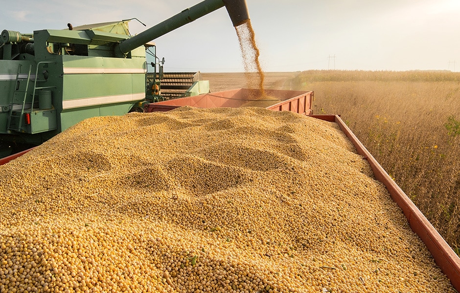 Understanding Major USDA Reports for Grains and Oilseed Markets