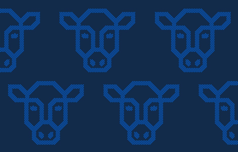 FAQ: 90% and 50% Lean Beef Trim Futures and Options