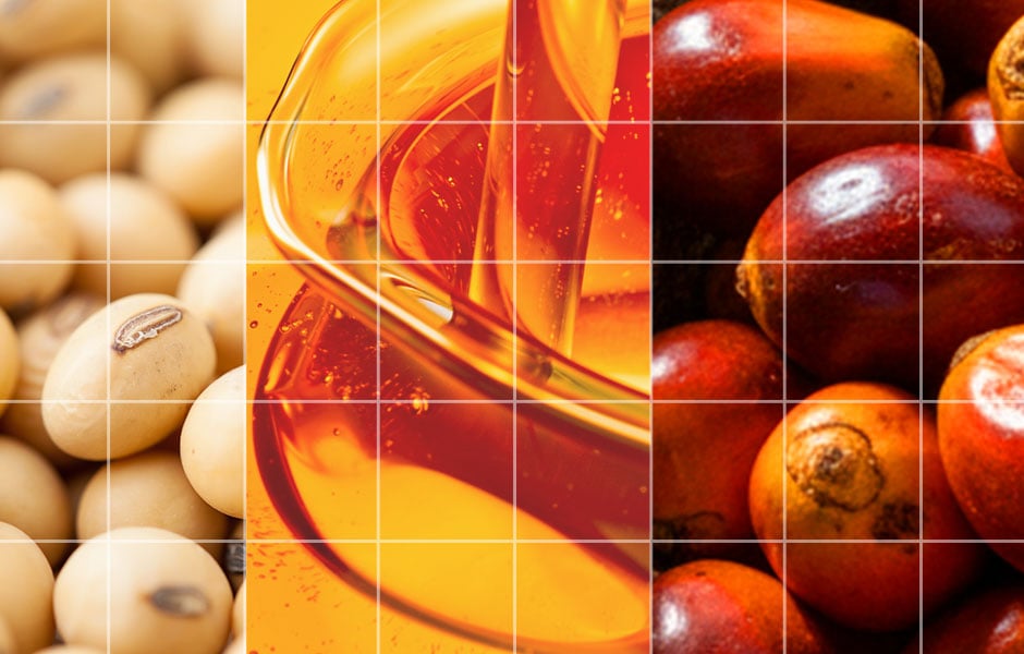 India at the Helm: Managing India-Linked Price Risks in the Global Vegetable Oil Trade
