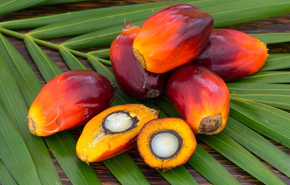 Understanding South Asia Crude Palm Oil (Fastmarkets) Futures
