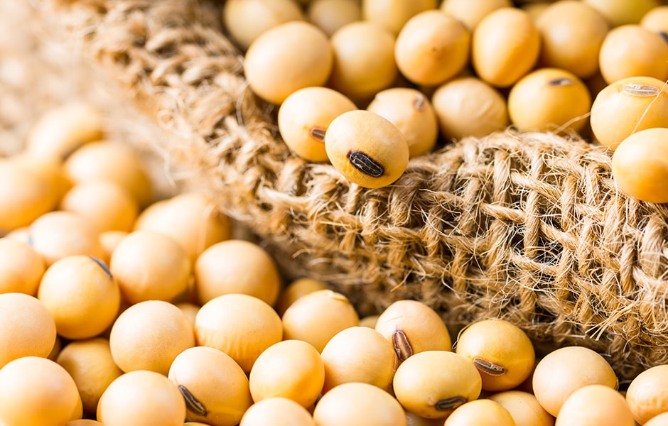 USDA 12月报告前瞻：豆粕要酝酿大行情？