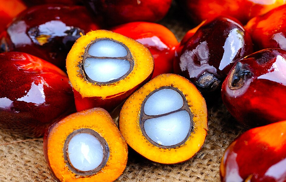 减产去库，棕榈油迎来大拐点？