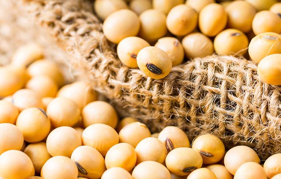 【亚太经济月谈】豆油何以对能源市场有着重要影响