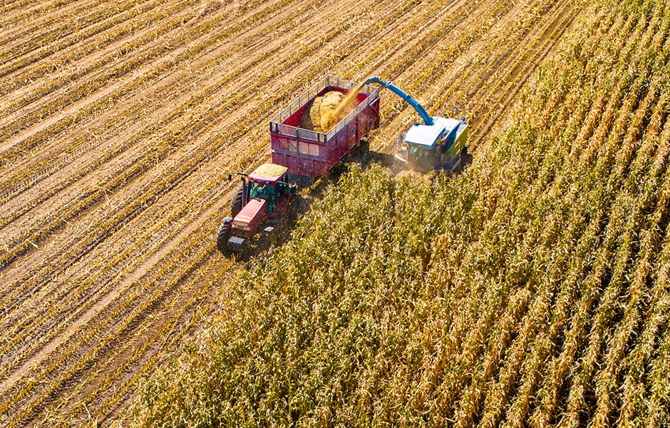 Fuel from the Field Soybean Oil and its Energy Uses CME Group