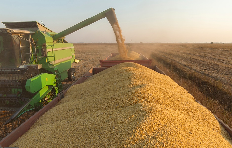 Midwestern Grain and Oilseed Input Costs Expected to Rise in 2023 CME