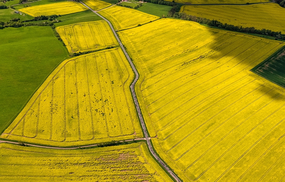 Agricultural Futures Intercommodity Spreads