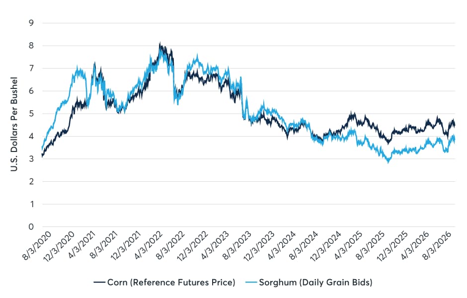 Sorghum cash bids vs. Corn futures August 2020 to August 2026