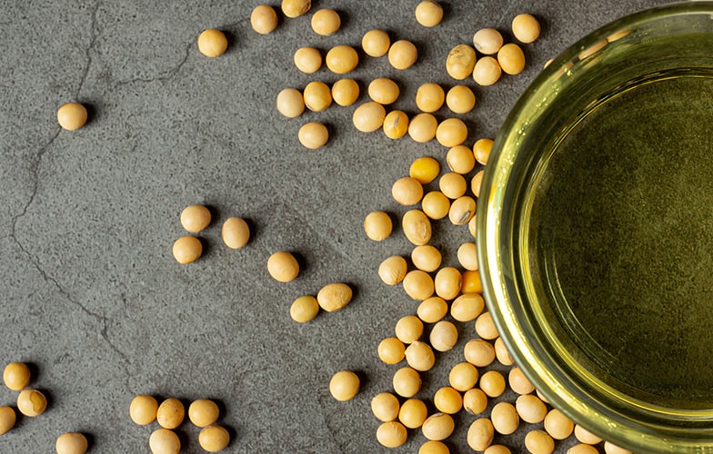 Understanding the South Asia Soybean Oil (Fastmarkets) vs. Soybean Oil Futures Spread