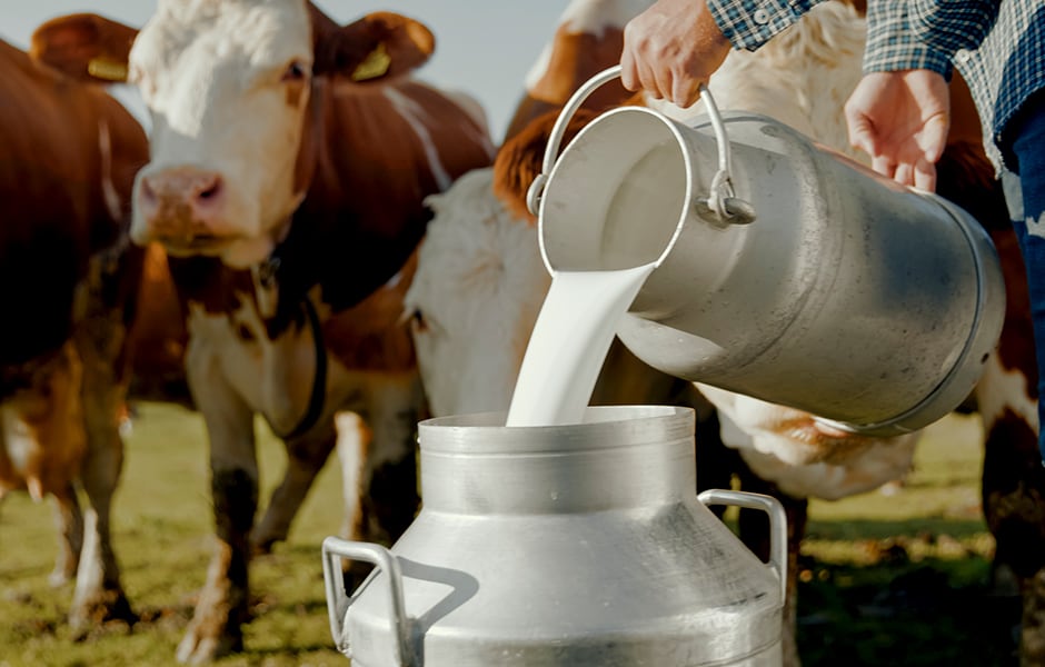 FAQ: European Dairy Futures and Options - CME Group