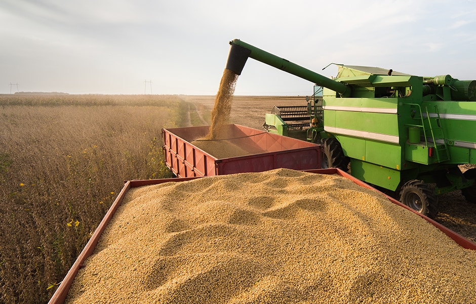 How Location Differentials are Determined in Soybean Oil and Soybean