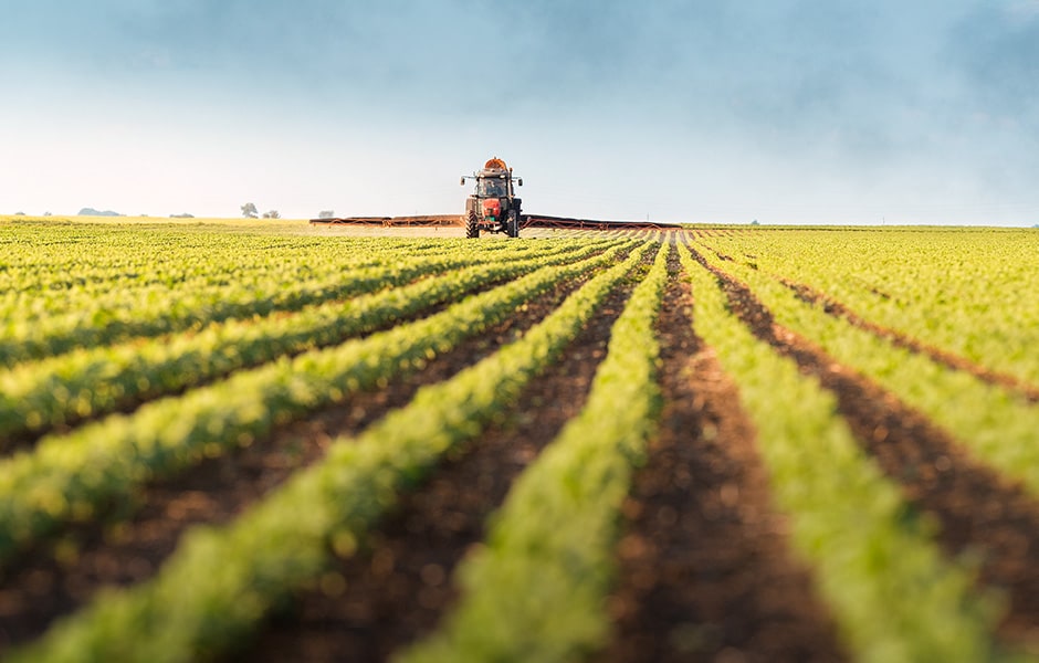 Relationship Between Global Soybean Prices CME Group