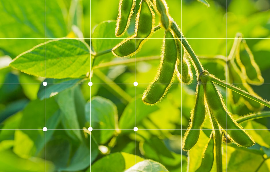 Understanding Block Trades FOB Santos Soybeans Financially Settled