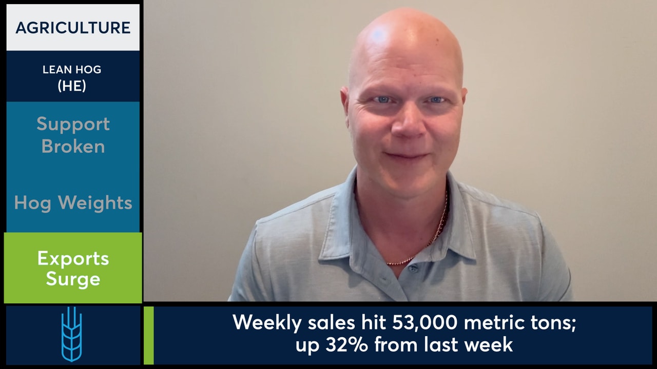Lean Hog futures broke support despite a 32% export surge.