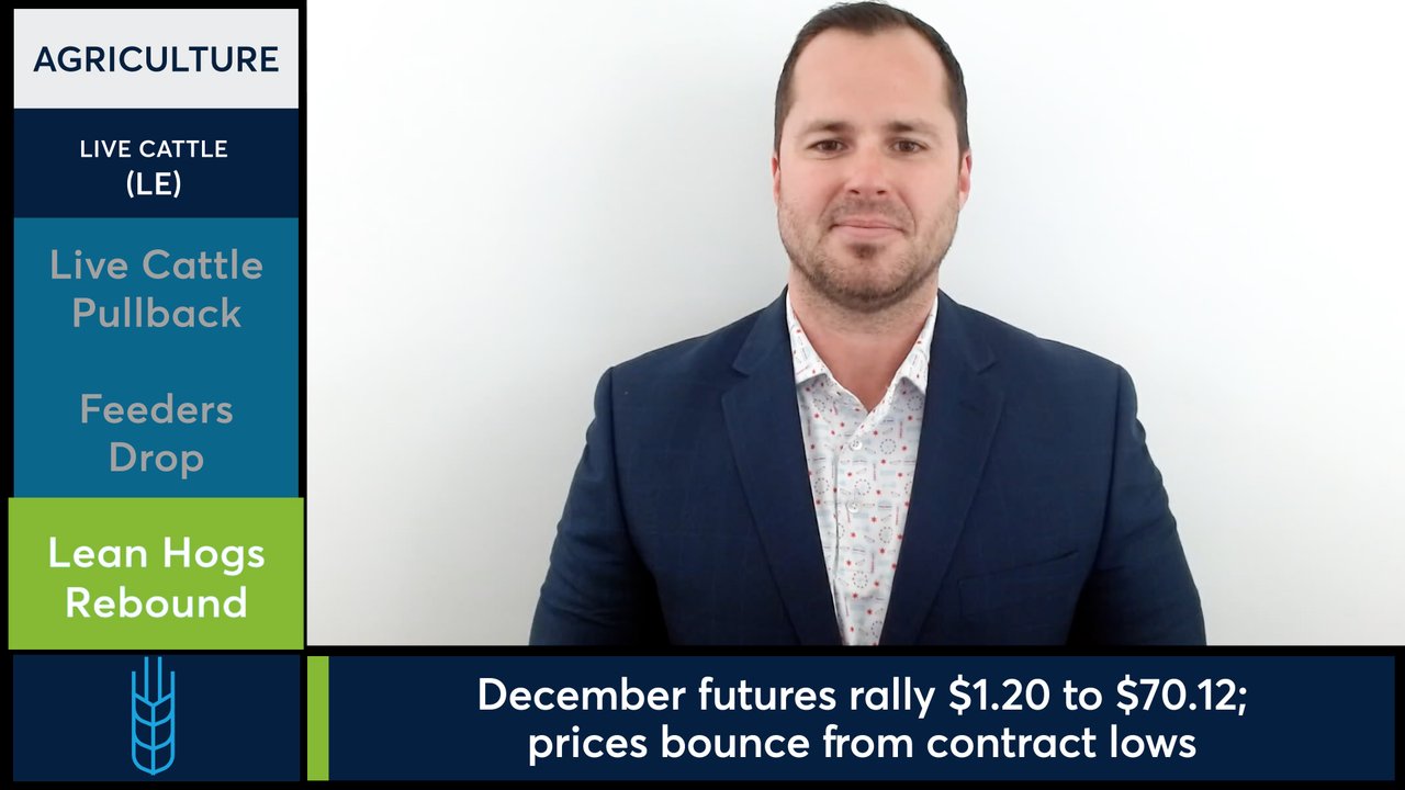 Lean Hog futures rally from lows as cattle markets face pressure.