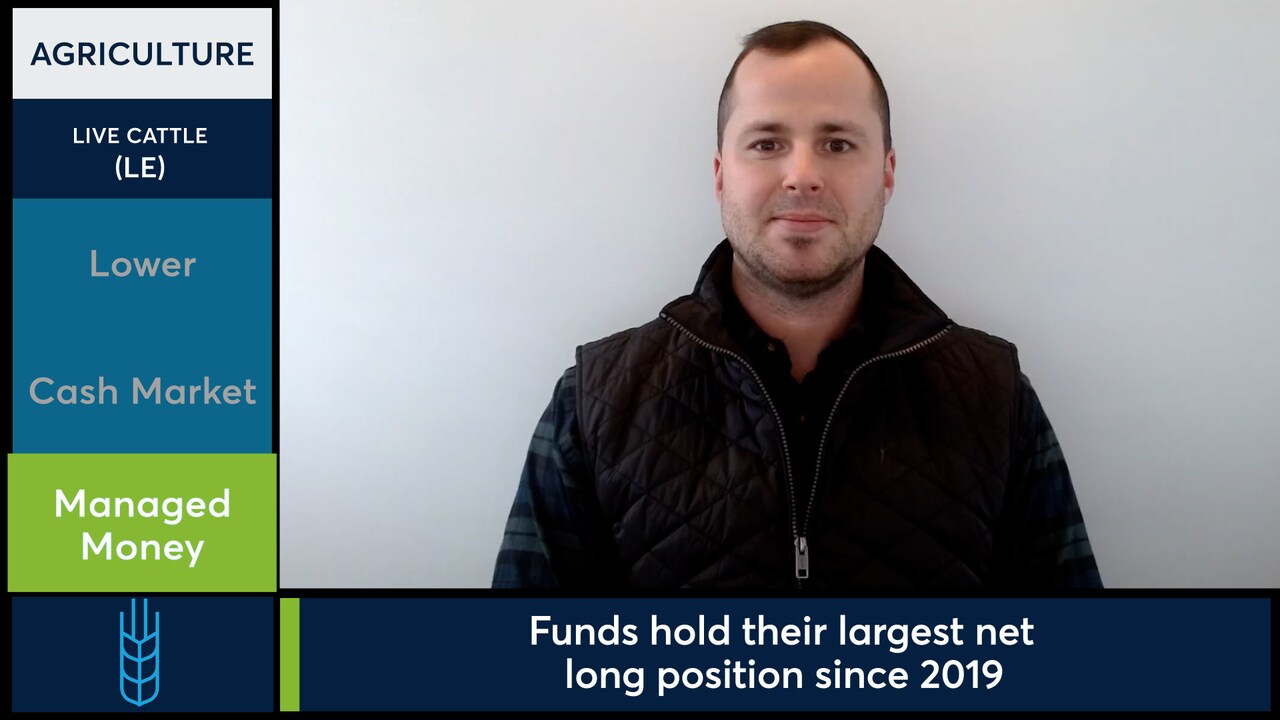 Live Cattle futures slide amid higher Feeder Cattle futures, mixed cash