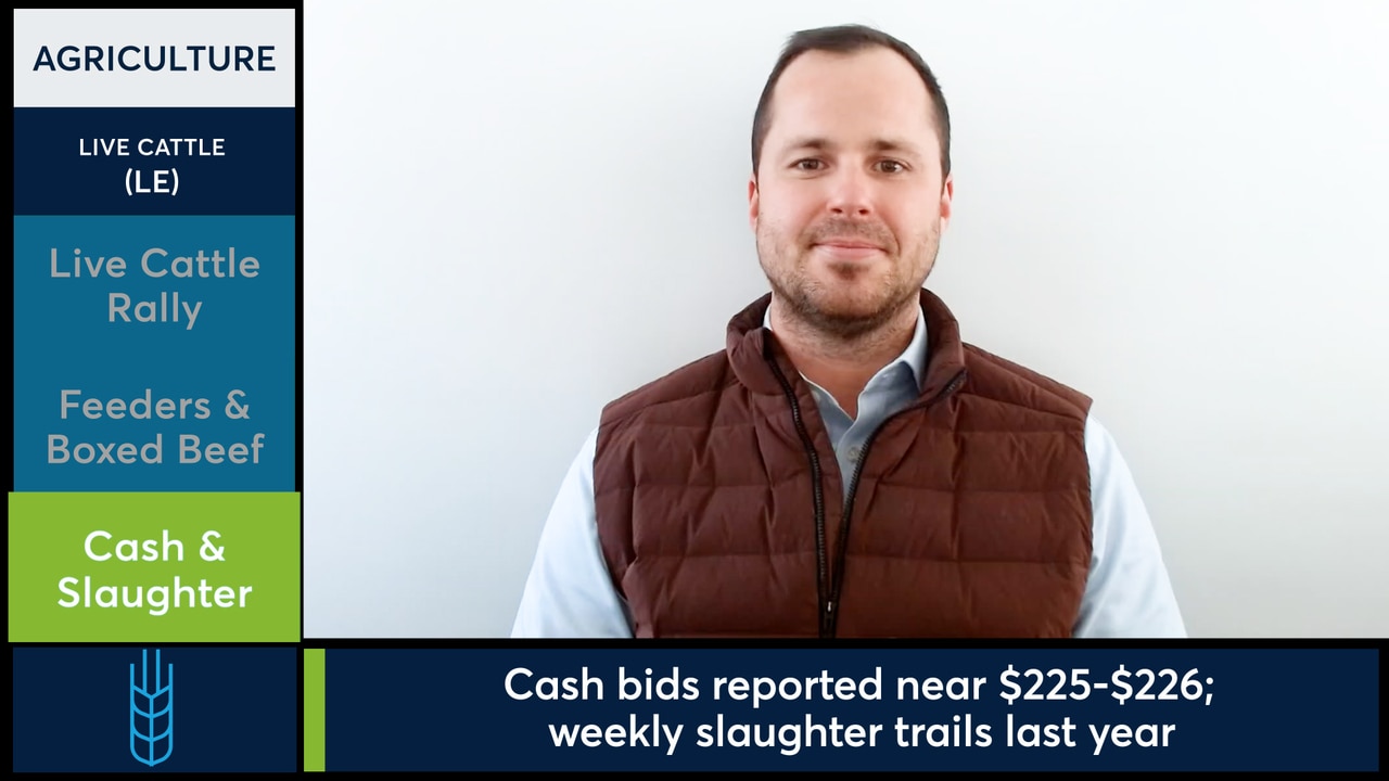 Live Cattle futures surged to close a strong week.