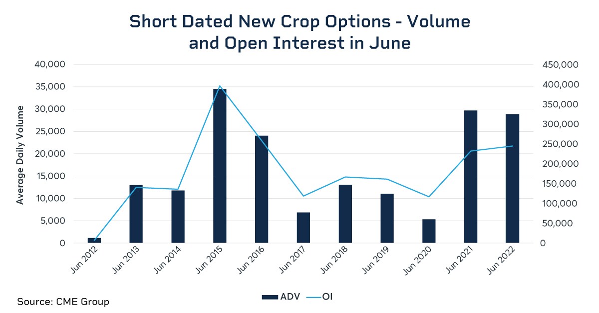 SDNC Options Vol OI