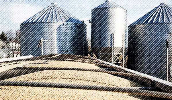 251204FeedstockBiofuel_600x350