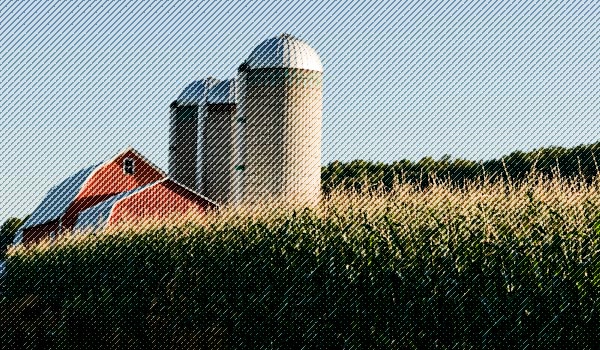Weather, Markets and Policy Drive the Conversation in Illinois Farming