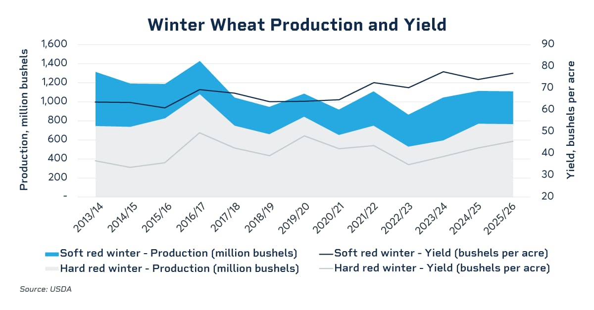winter wheat production and yield