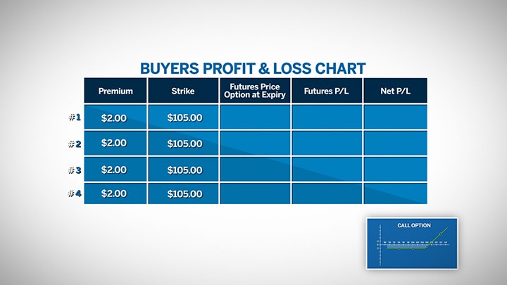 Options Profit Chart