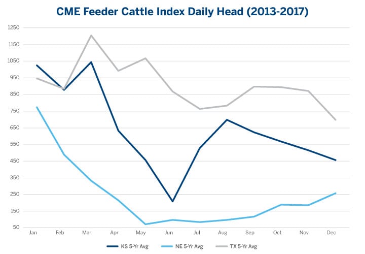 Feeder Cattle Index Chart