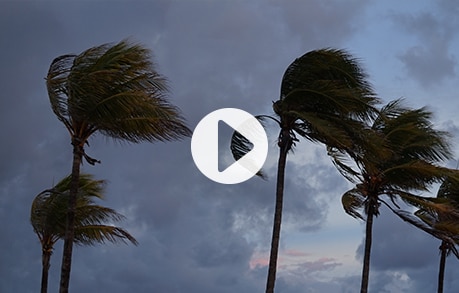 폭풍우 치는 가을