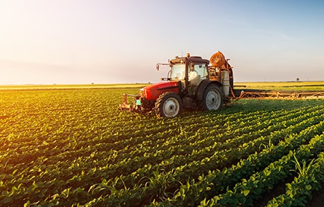 农产品期权波动率正偏斜的原理