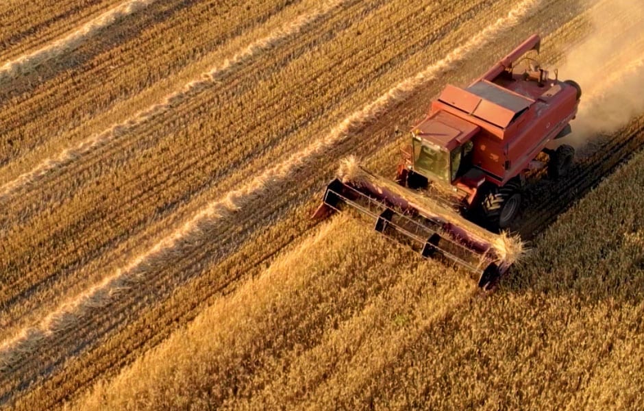 CME Group Agriculture Index Guide