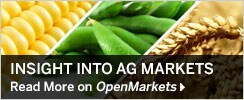 Insight Into AG Markets